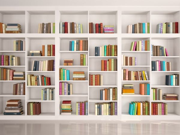 Bookshelf Assembly in Warwick